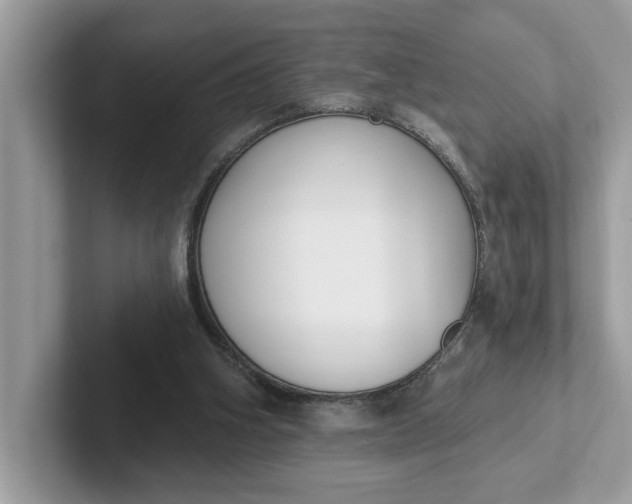 X0000101400106200807211042