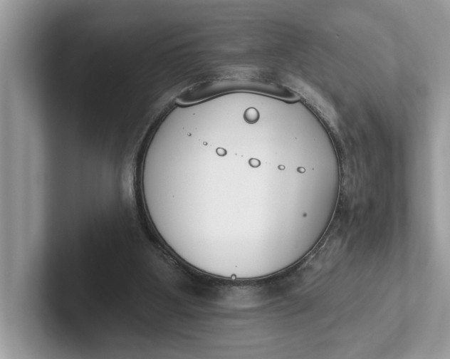 X0000101400107200807211042