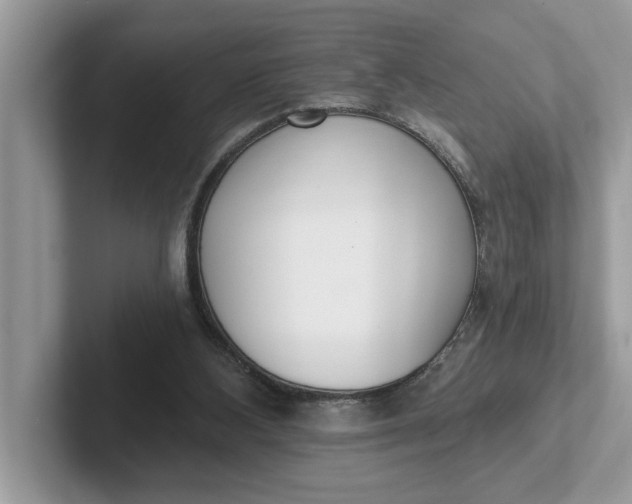 X0000101400108200807211042