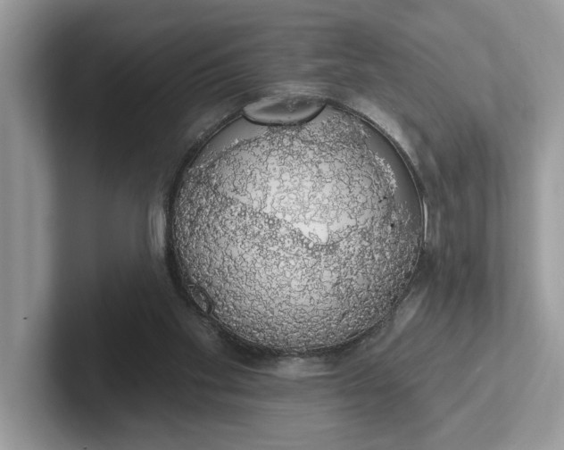 X0000101400109200807211042