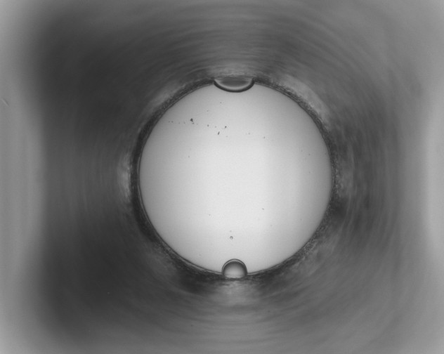 X0000101400111200807211042