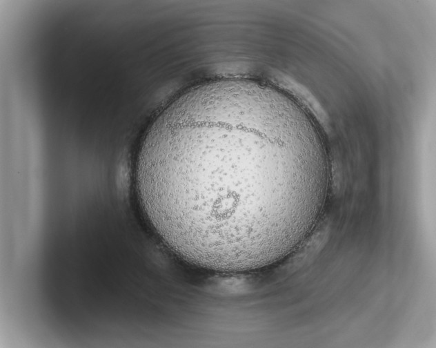 X0000101400113200807211042