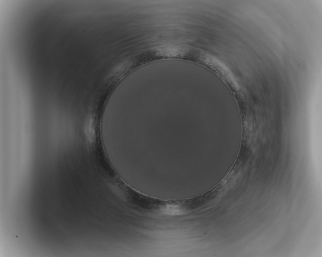 X0000101400114200807211042