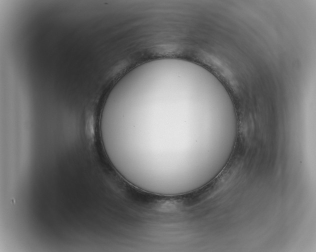 X0000101400115200807211042