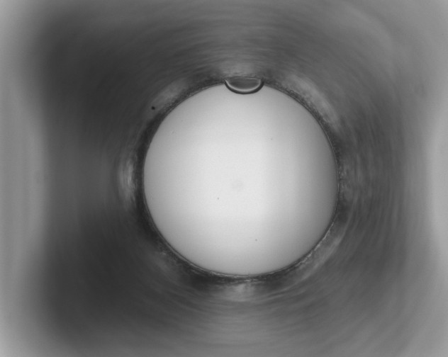 X0000101400116200807211042