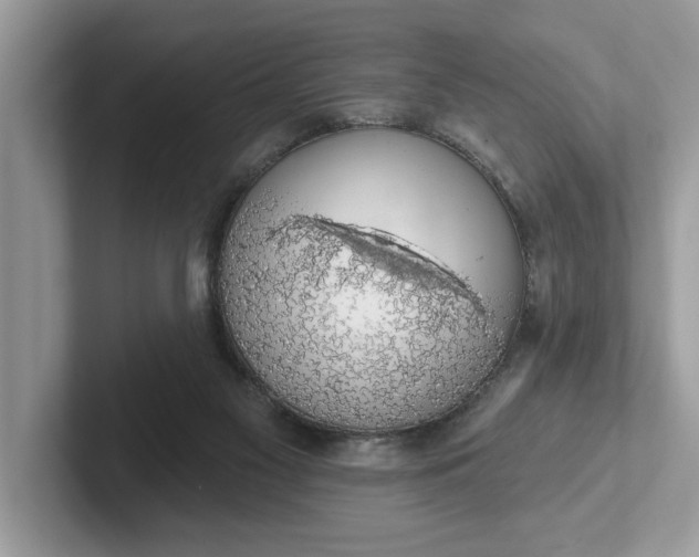 X0000101400117200807211042