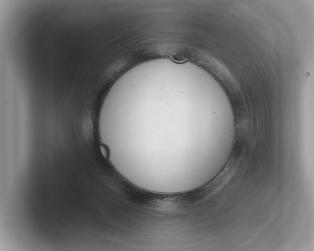 X0000101400120200807211042