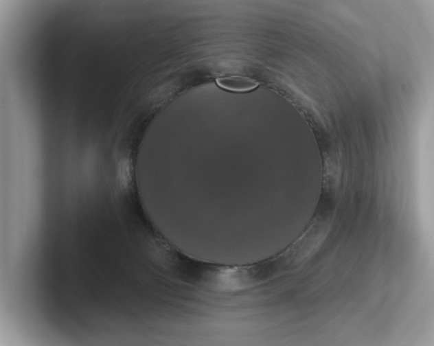 X0000101400130200807211042