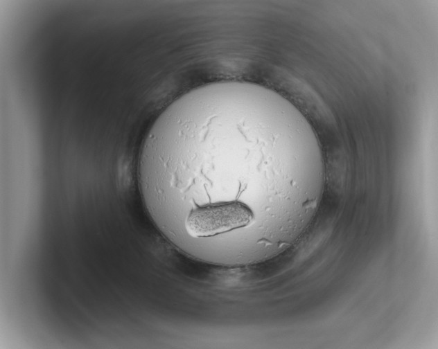 X0000101400131200807211042