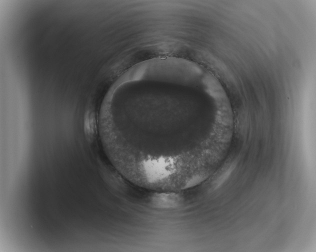 X0000101400137200807211042