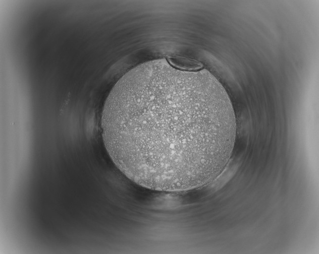 X0000101400140200807211042