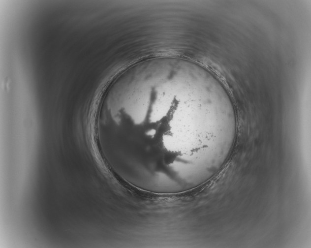 X0000101400145200807211041