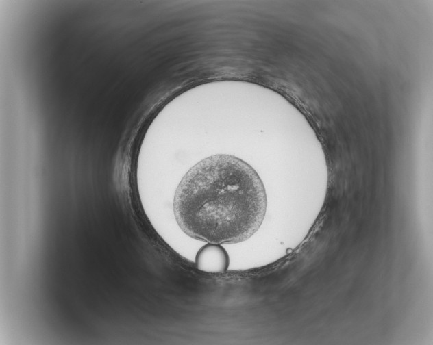 X0000101400146200807211041