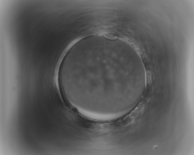 X0000101400147200807211041