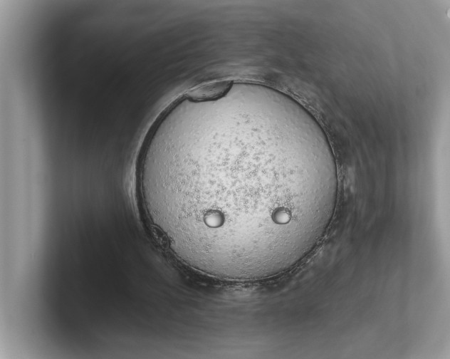 X0000101400148200807211041