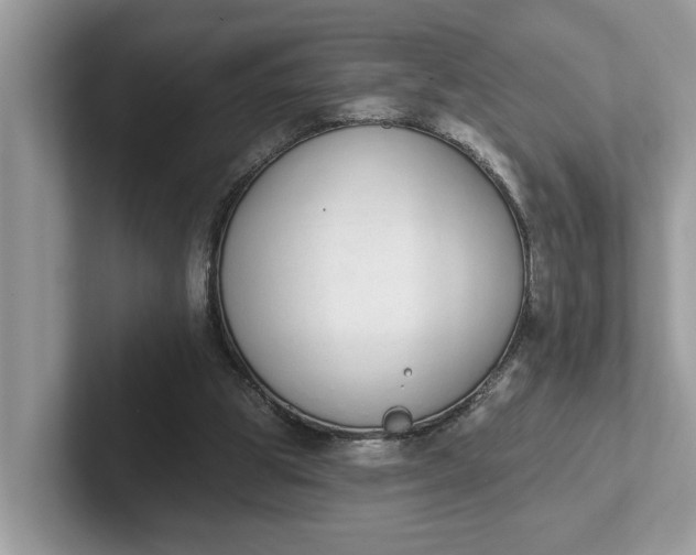 X0000101400153200807211041