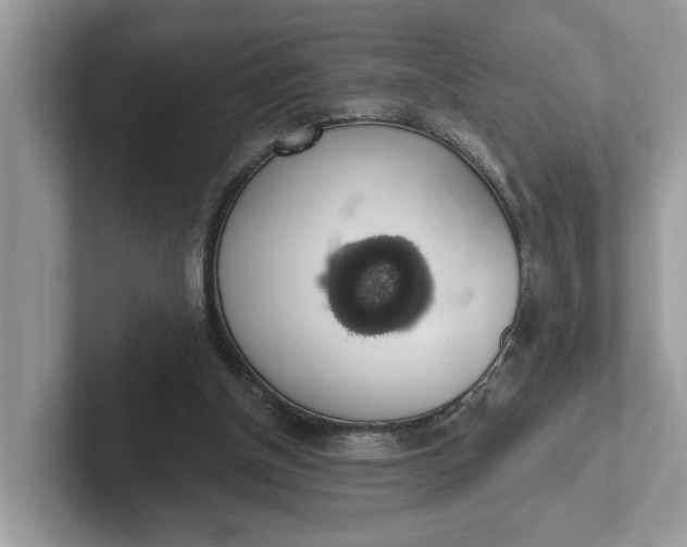 X0000101400154200807211041