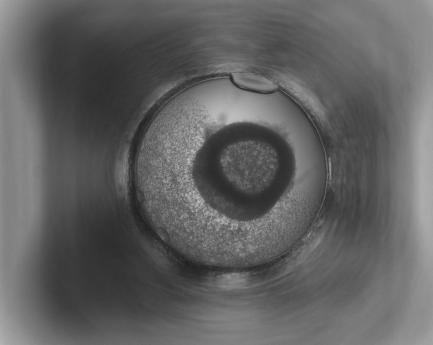 X0000101400156200807211041