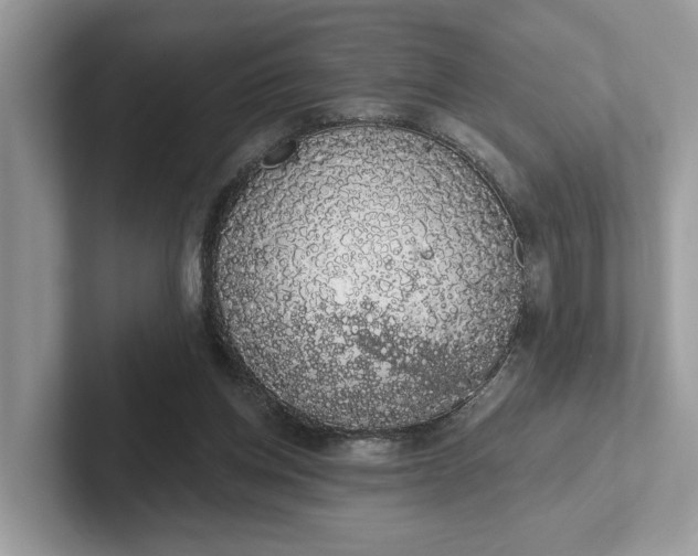 X0000101400158200807211041