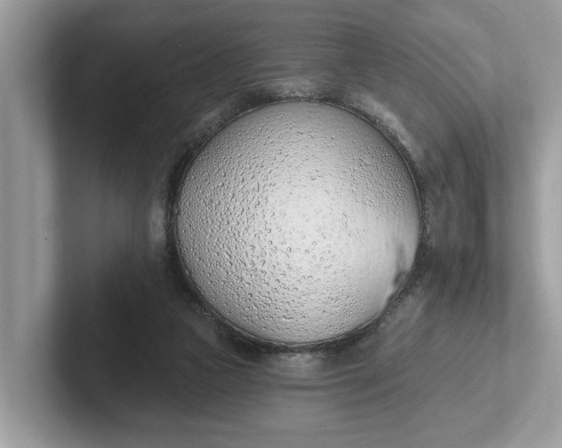 X0000101400161200807211041