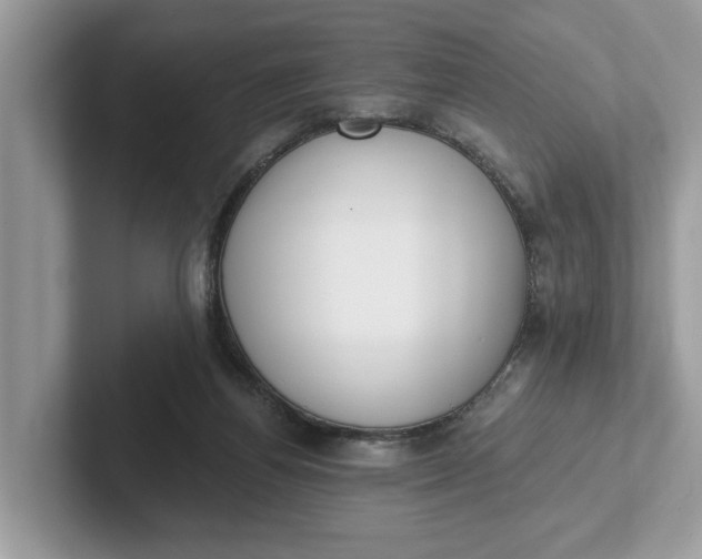 X0000101400164200807211041