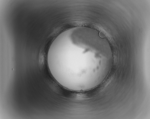 X0000101400165200807211041