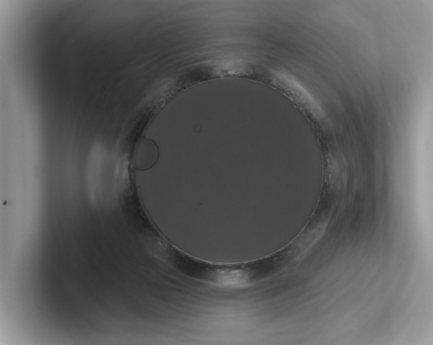 X0000101400169200807211041