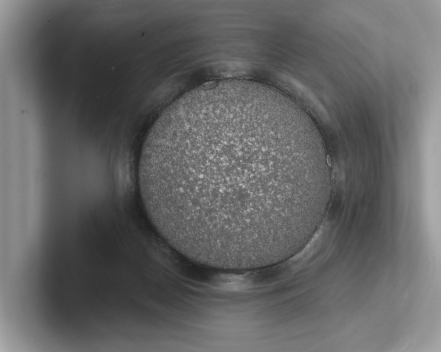 X0000101400170200807211041