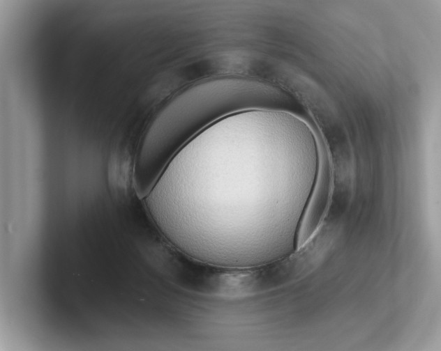 X0000101400172200807211041