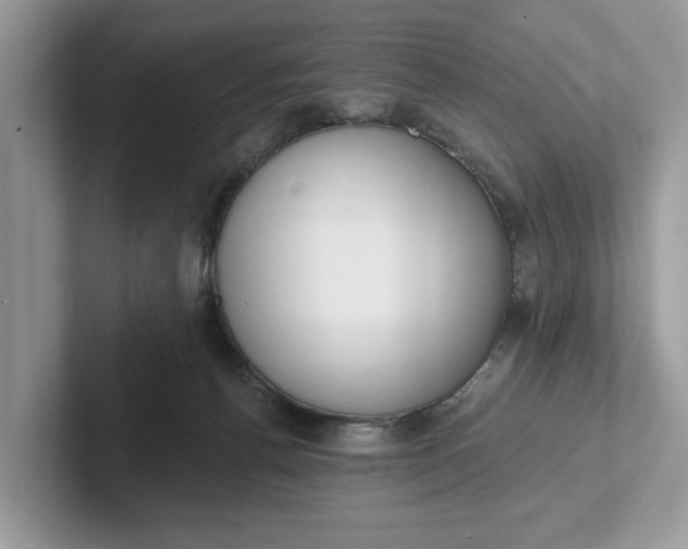 X0000101400176200807211042