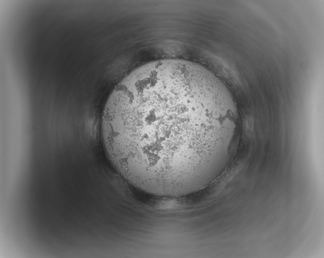 X0000101400177200807211042