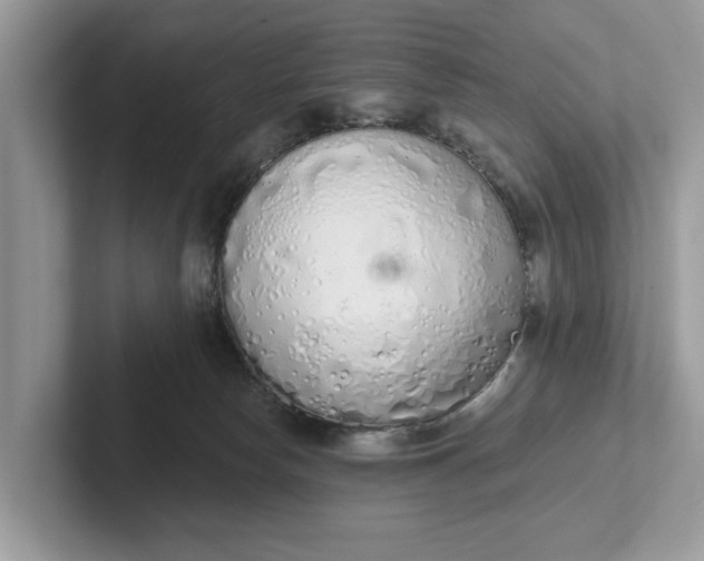 X0000101400178200807211042