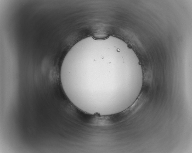 X0000101400179200807211042