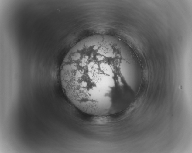 X0000101400181200807211042