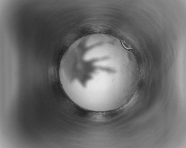 X0000101400182200807211042