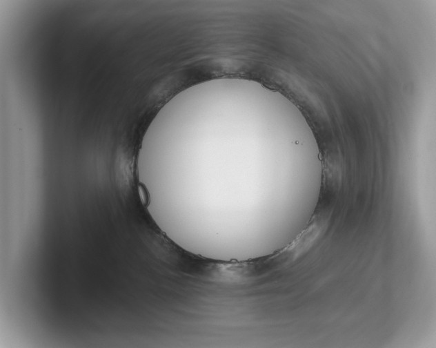 X0000101400188200807211042