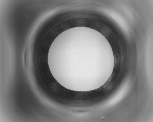 X0000101400190200807211042