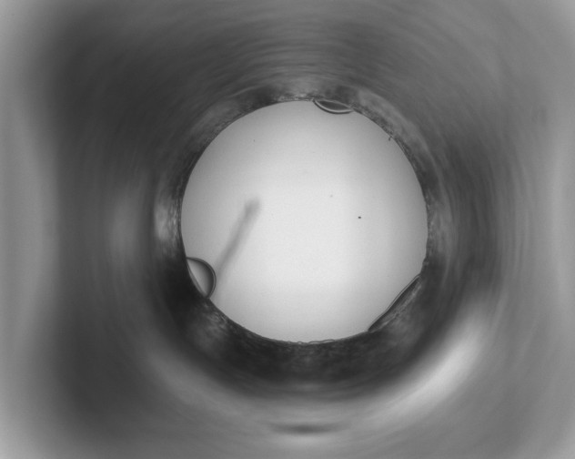 X0000101400191200807211042