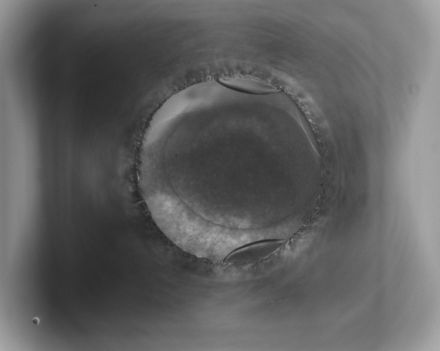 X0000101400192200807211042