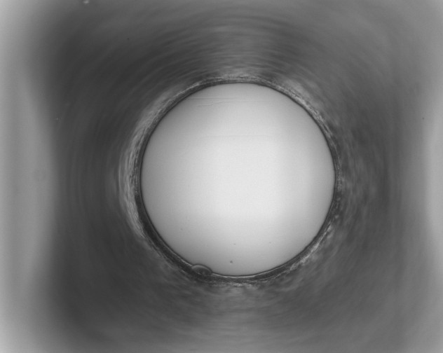 X0000101400193200807211041