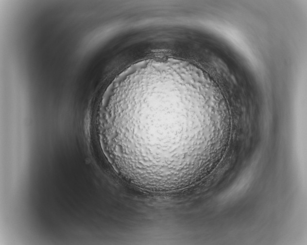 X0000101400194200807211041