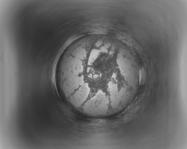 X0000101400195200807211041