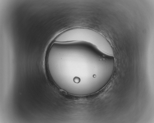 X0000101400196200807211041