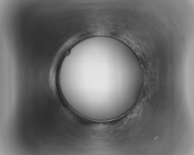 X0000101400197200807211041