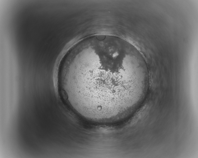 X0000101400199200807211041