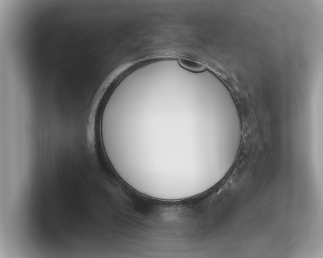 X0000101400200200807211041