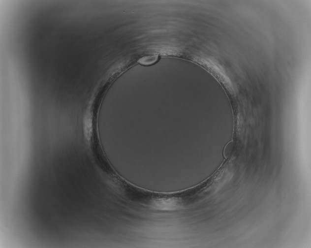 X0000101400202200807211041