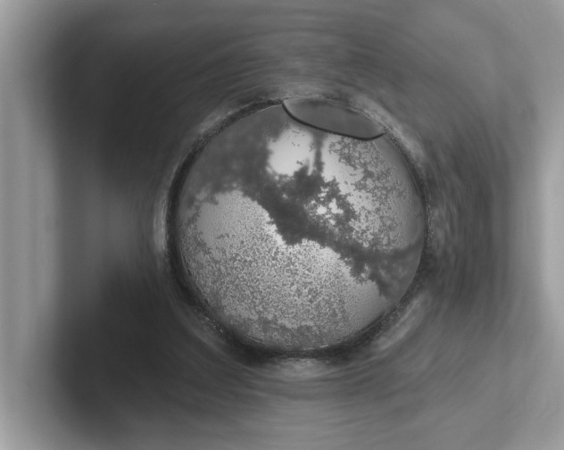 X0000101400203200807211041