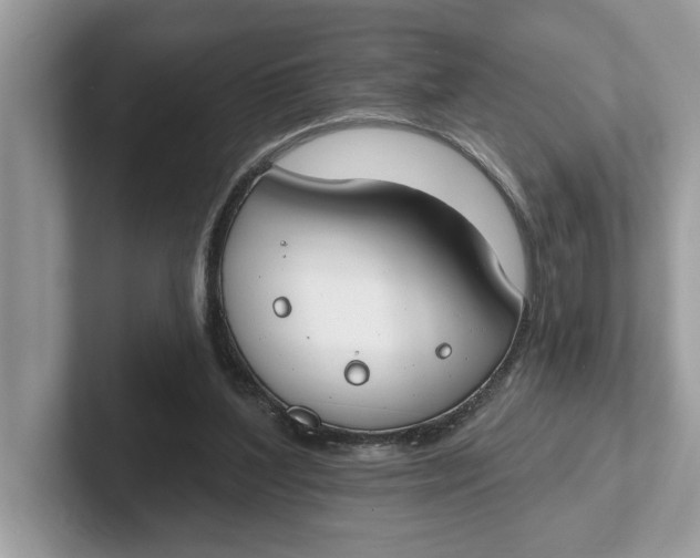 X0000101400204200807211041