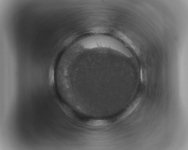 X0000101400205200807211041